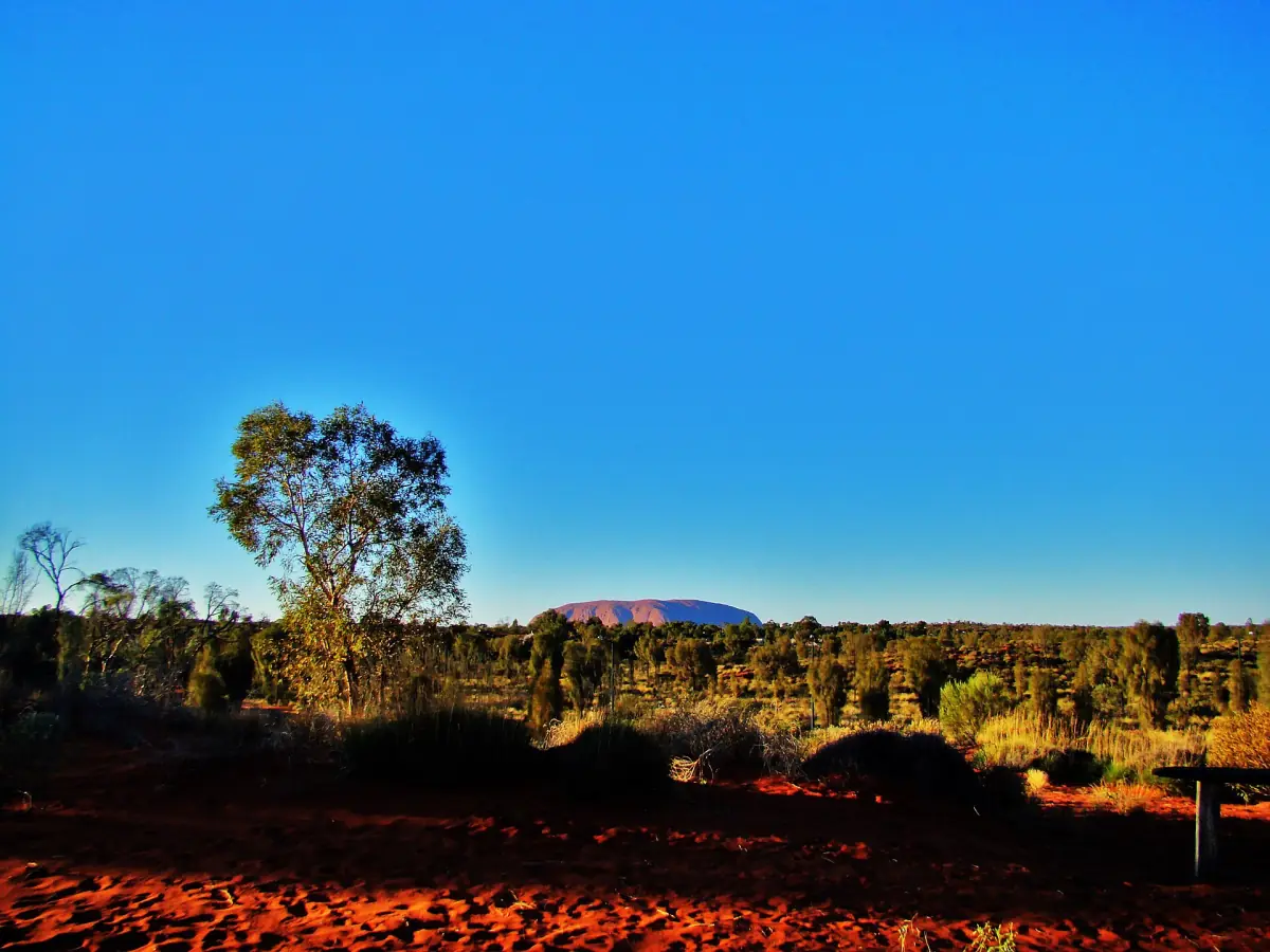 Uluru on the horizon from a lookout in Yulara